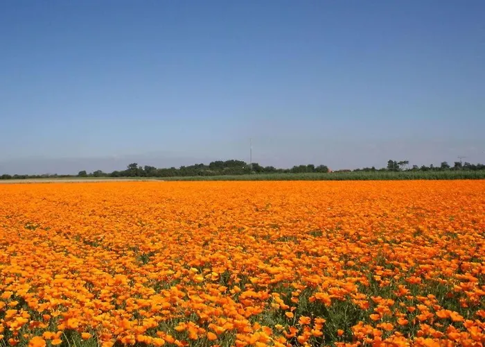 Huijsmansverhuur Type B De Luxe Grevelingen 24 Ouddorp
